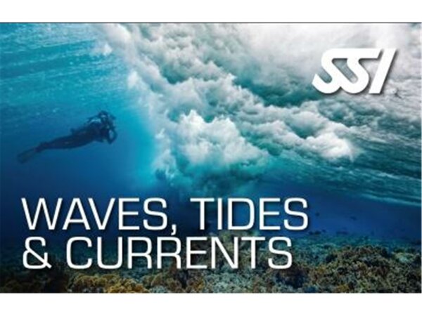 Spezialkurs Waves, Tides & Currents