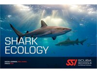 Spezialkurs Shark Ecology