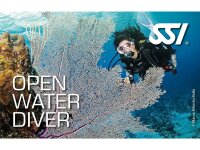 Junior Open Water Beginner Kurs – Dein...